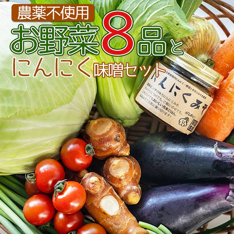 農薬不使用 お野菜8品とにんにく味噌のセット - 送料無料 やさいセット 高知県産 旬の野菜 新鮮野菜 ニンニク みそ ミソ ごはんのおとも ご飯のお供 おかず 調味料 隠し味 国産 特産品 高知県 香南市【冷蔵】pr-0011