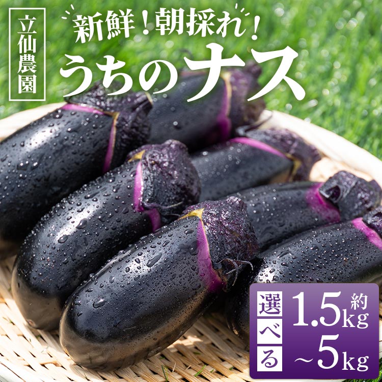 10位! 口コミ数「0件」評価「0」【内容量が選べる】立仙農園 うちのナス 約1.5kg/約3kg/約5kg - なす 茄子 なすび ナスビ 生鮮 野菜 やさい 朝採れ 新鮮 ･･･ 