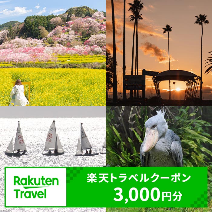 【ふるさと納税】高知県香南市の対象施設で使える楽天トラベルクーポン 寄附額10,000円 （3,000円分）...