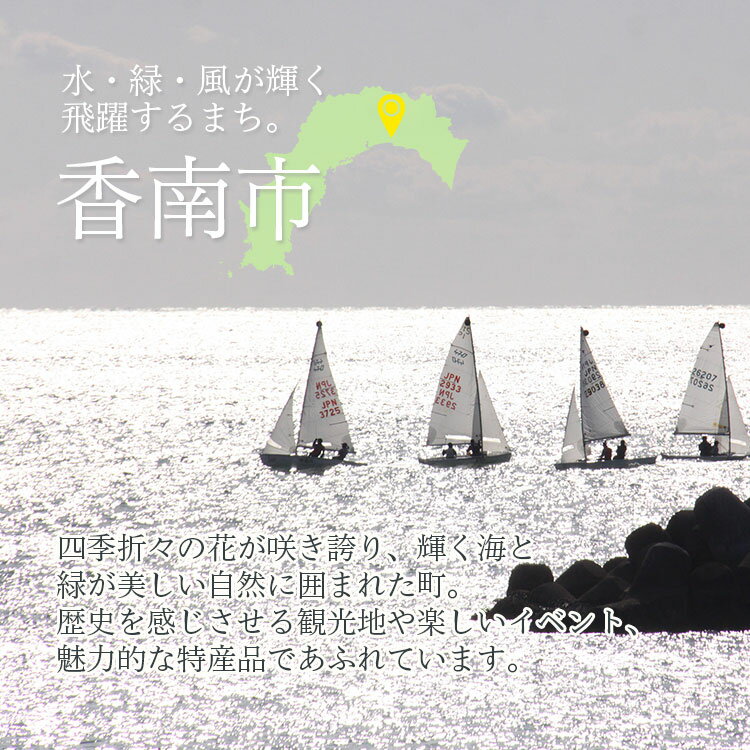 【ふるさと納税】高知県香南市の対象施設で使える楽天トラベルクーポン 寄附額300,000円 （90,000円分） - 香美郡赤岡町 香我美町 野市町 夜須町 吉川村 温泉 旅行 卒業 家族 国内 夫婦 親子 カップル 日本三名泉 女子旅 ゴールデンウィーク GW お盆 お正月 春 夏 冬 休みその2