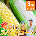 【ふるさと納税】先行予約受付中 朝採れスイートコーン 約3kg 8〜10本 - 野菜 とうもろこし とうきび トウキビ BBQ キャンプ 旬 おやつ 特産品 数量限定 季節限定 期間限定 のし対応可 送料無…