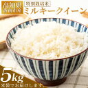 【ふるさと納税】【2025年8月下旬以降順次発送】特別栽培米 ミルキークイーン 5kg 高知県香南市産 - お米 米 白ご飯 ごはん 精米 精米 お弁当 おにぎり おむすび 炊き込みご飯 おいしい 美味しい 防災 非常食 備蓄 田代果樹農園 高知県 香南市【常温】 sr-0001