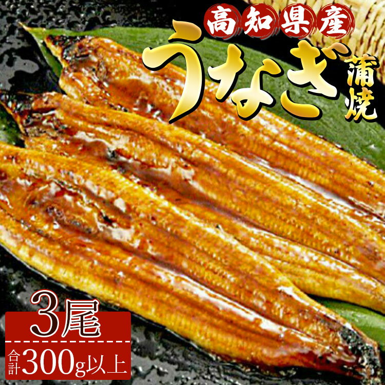 【ふるさと納税】高知県産養殖うなぎ蒲焼 3尾(合計300g以