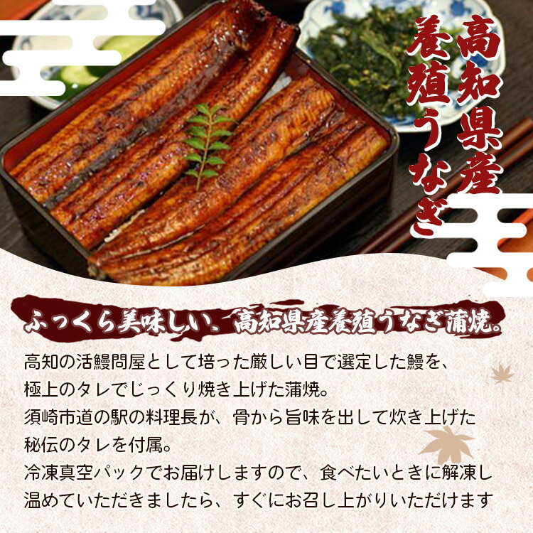 【ふるさと納税】高知県産養殖うなぎ蒲焼き 3尾(合計約660g) - タレ付き たれ 丑の日 鰻 ウナギ かばやき 蒲焼き うな丼 うな重 送料無料 ギフト 母の日 お礼 御礼 感謝 贈答 贈り物 須崎市道の駅 高知県 香南市【冷凍】ss-0035