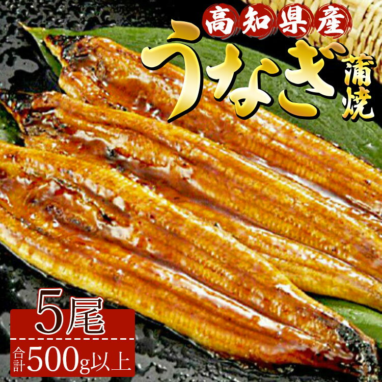 【ふるさと納税】 高知県産養殖うなぎ蒲焼 5尾(合計500g