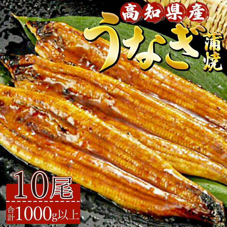 【ふるさと納税】高知県産養殖うなぎ蒲焼 10尾(合計1000g以上) - 鰻 ウナギ 国産 蒲焼き かば焼き か...