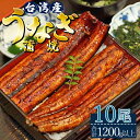 【ふるさと納税】 肉厚ふっくら香ばしい 台湾産養殖うなぎ蒲焼 10尾(合計1200g以上) - 送料無料 魚 スタミナ 鰻 ウナギ 蒲焼き かば焼き かばやき ギフト 母の日 父の日 お礼 御礼 感謝 贈答 贈り物 丑の日 うな丼 うな重 ひつまぶし 高知県 香南市【冷凍】ss-0028