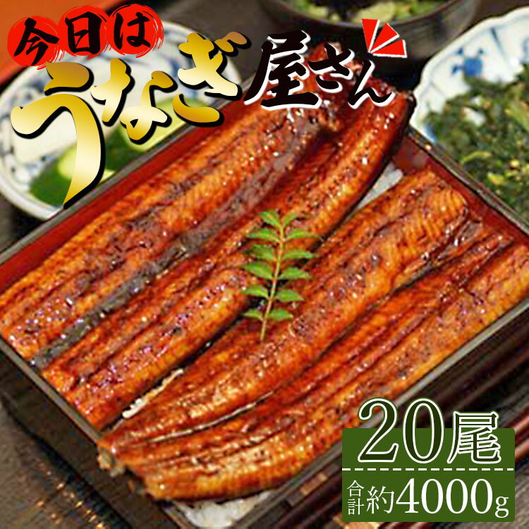 肉厚ふっくら香ばしい 台湾産養殖うなぎ蒲焼 20尾(合計4000g以上) 「今日はうなぎ屋さん」セット - 送料無料 1回配送 鰻 ウナギ 蒲焼き かば焼き かばやき うな丼 うな重 ギフト 母の日 父の日 お礼 御礼 感謝 贈答 贈り物 高知県 香南市[冷凍]ss-0031