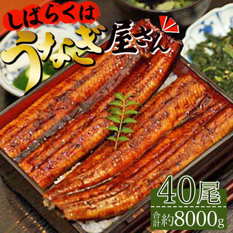 肉厚ふっくら香ばしい 台湾産養殖うなぎ蒲焼 40尾(合計約8000g) 「しばらくはうなぎ屋さん」セット - 送料無料 1回配送 鰻 ウナギ 蒲焼き かば焼き かばやき ギフト お中元 御中元 お礼 御礼 うな丼 うな重 丼ぶり おすそ分け 高知県 香南市[冷凍]ss-0032