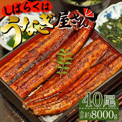 肉厚ふっくら香ばしい 台湾産養殖うなぎ蒲焼 40尾(合計約8000g) 「しばらくはうなぎ屋さん」セット - 送料無料 1回配送 鰻 ウナギ 蒲焼き かば焼き かばやき ギフト 母の日 お礼 御礼 感謝 うな丼 うな重 丼ぶり おすそ分け 高知県 香南市【冷凍】ss-0032