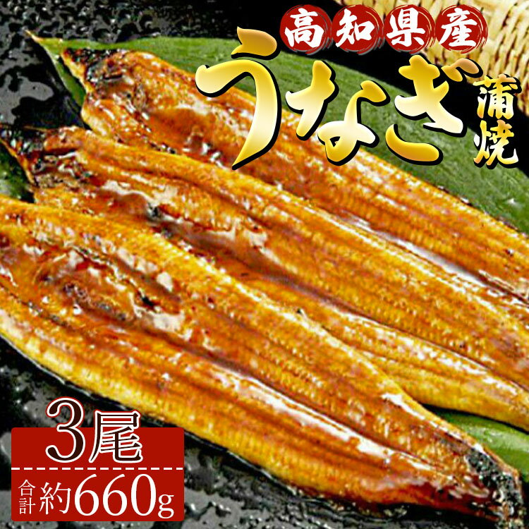 高知県産養殖うなぎ蒲焼き 3尾(合計約660g) - タレ付き たれ 丑の日 鰻 ウナギ かばやき 蒲焼き うな丼 うな重 送料無料 ギフト お礼 御礼 感謝 贈答 贈り物 須崎市道の駅 高知県 香南市[冷凍]ss-0035