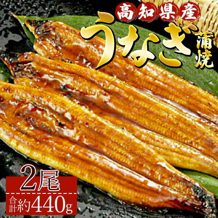 【ふるさと納税】高知県産養殖うなぎ蒲焼き 2尾(合計約440g) - タレ付き たれ 土用の丑の日 鰻 ウナギ かばやき 蒲焼き うな丼 うな重 ギフト 母の日 お礼 御礼 感謝 贈答 贈り物 送料無料 須崎市道の駅 高知県 香南市【冷凍】ss-0043