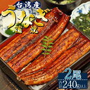 【ふるさと納税】肉厚ふっくら香ばしい 台湾産養殖うなぎ蒲焼 2尾(合計240g以上) - タレ付き たれ かばやき 蒲焼き 鰻 ウナギ うな丼 ..