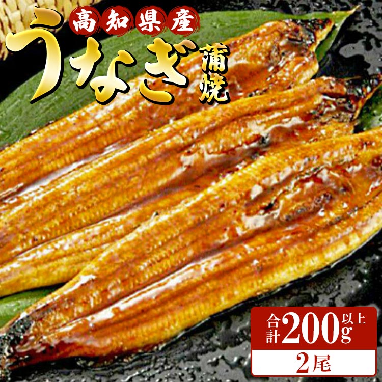 高知県産養殖うなぎ蒲焼 100〜120g 2尾セット(合計200g以上) - 土用の丑の日 鰻 ウナギ かばやき 蒲焼き うな丼 うな重 贈り物 ギフト 母の日 父の日 お礼 御礼 感謝 タレ付き 送料無料 須崎市道の駅 高知県 香南市[冷凍]ss-0044