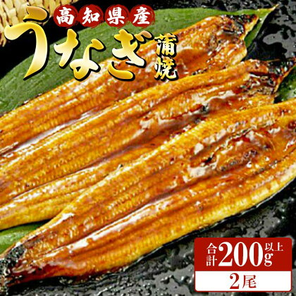 高知県産養殖うなぎ蒲焼 100～120g 2尾セット(合計200g以上) - 土用の丑の日 鰻 ウナギ かばやき 蒲焼き うな丼 うな重 贈り物 ギフト 母の日 父の日 お礼 御礼 感謝 タレ付き 送料無料 須崎市道の駅 高知県 香南市【冷凍】ss-0044