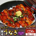 【ふるさと納税】【選べる定期便】国産 きざみうなぎ蒲焼き 5袋 たれ・山椒付き(定期便:3回/6回/12回)- 土用の丑の日 鰻 ウナギ かばやき うな丼 うな...