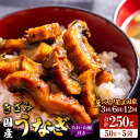 【ふるさと納税】【選べる定期便】国産 きざみうなぎ蒲焼き 5袋 たれ・山椒付き(定期便:3回/6回/12回)- 土用の丑の日 鰻 ウナギ かばやき うな丼 うな重 炊き込みご飯 タレ ギフト お礼 御礼 感謝 敬老の日 須崎市道の駅 高知県 香南市【冷凍】