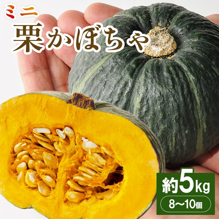 【ふるさと納税】ミニ栗かぼちゃ「坊ちゃん」約5kg（8～10個）- 野菜 南瓜 くり カボチャ 国産 季節限..