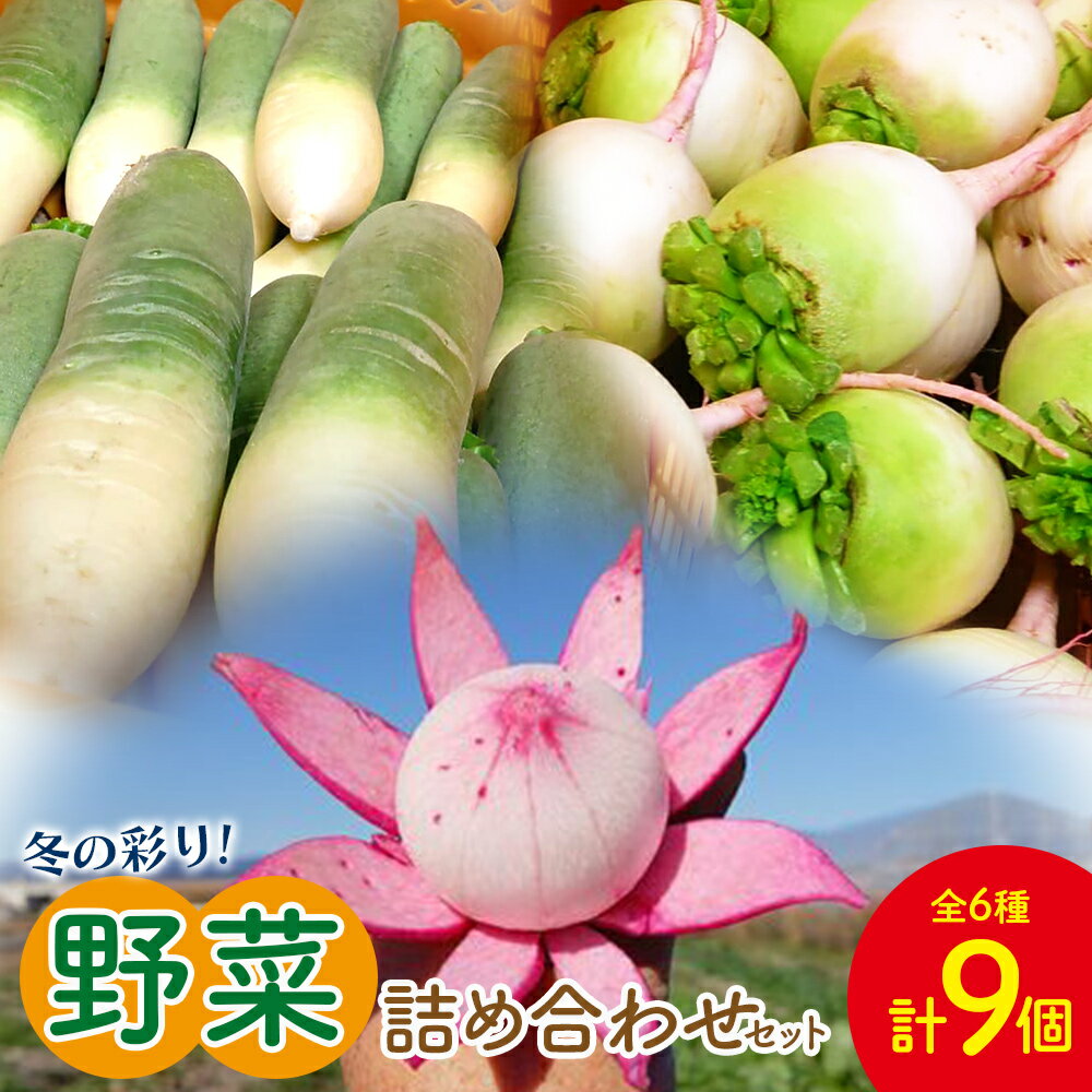 【ふるさと納税】冬の彩り野菜詰め合わせセット(白菜、蕪、 大根) - やさい 新鮮 カブ 詰合せ 浅漬け 朝採れ 簡単料理 常備野菜 時短 使いやすい 無農薬 産地直送 旬彩ファームやまさき 高知県 香南市【常温】 sy-0009のサムネイル