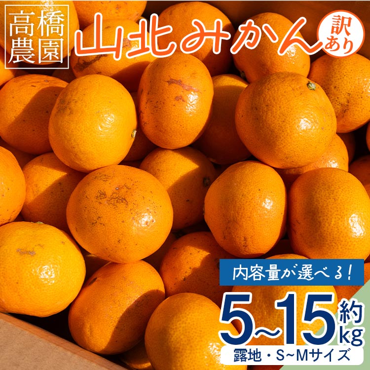 [内容量が選べる]家庭用・訳あり 山北みかん(露地・S〜Mサイズ)約5kg/約10kg/約15kg - 送料無料 露地栽培 柑橘 果物 フルーツ ミカン 蜜柑 期間限定 季節限定 家庭用 高橋農園 国産 特産品 高知県 香南市[常温]Rth-0013