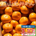 【ふるさと納税】【選べる内容量】山北みかん（露地・S～Mサイ