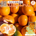 【ふるさと納税】みかん 訳アリ 山北みかん 露地(S〜M) B品 高橋農園 訳あり 約5kg〜10kg - 選べる 数量 果物 フルーツ ミカン 蜜柑 柑橘 家...