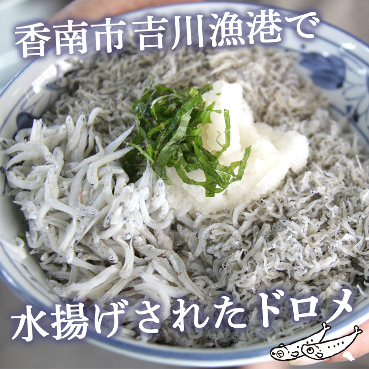 【ふるさと納税】土佐名産 釜揚しらす1.5kg(250g×6) - 釜揚げ シラス じゃこ おかず ご飯のお供 食事 丼 おつまみ 酒の肴 魚 和食 ギフト 贈答 贈り物 送料無料 高知県 香南市【冷凍】tk-0007