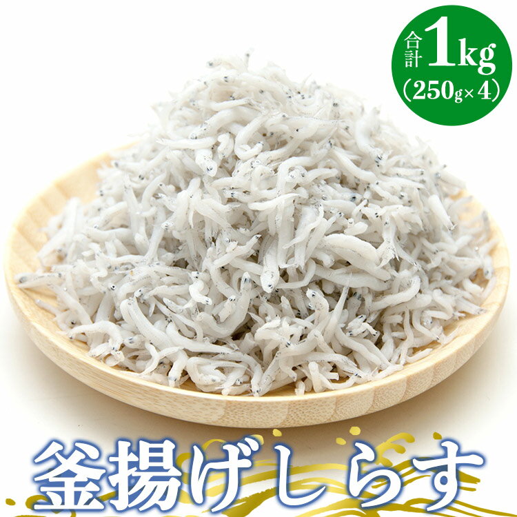 【ふるさと納税】土佐名産 釜揚げしらす 合計1kg（約250g×4）- 釜揚げ シラス じゃこ おかず ご飯のお供 食事 丼 おつまみ 酒の肴 魚 和食 ギフト 贈答 贈り物 送料無料 高知県 香南市【冷凍】 tk-0006