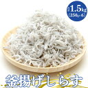 【ふるさと納税】土佐名産 釜揚しらす1.5kg(250g×6) - 釜揚げ シラス じゃこ おかず ご飯のお供 食事 丼 おつまみ 酒の肴 魚 和食 ギフ..