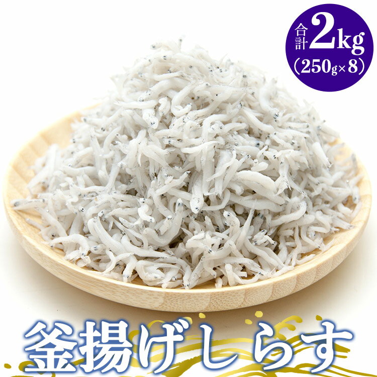 【ふるさと納税】土佐名産 釜揚しらす 約2kg(約250g×8