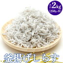 【ふるさと納税】土佐名産 釜揚しらす 約2kg(約250g×