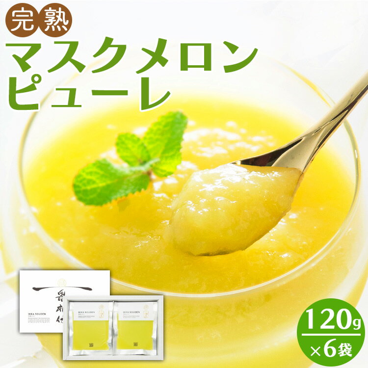 35位! 口コミ数「2件」評価「2」完熟マスクメロンピューレ 120g×6袋 - 送料無料 果物 くだもの フルーツ めろん 果実 果汁 100％ 丸々 まるごと 丸絞り 丸搾･･･ 