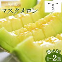 【ふるさと納税】【14日程度で発送】【期間限定】一果相伝 マスクメロン 1玉入り/2玉入り - スピード発送 選べる 個数 送料無料 めろん 青肉 果物 くだも...