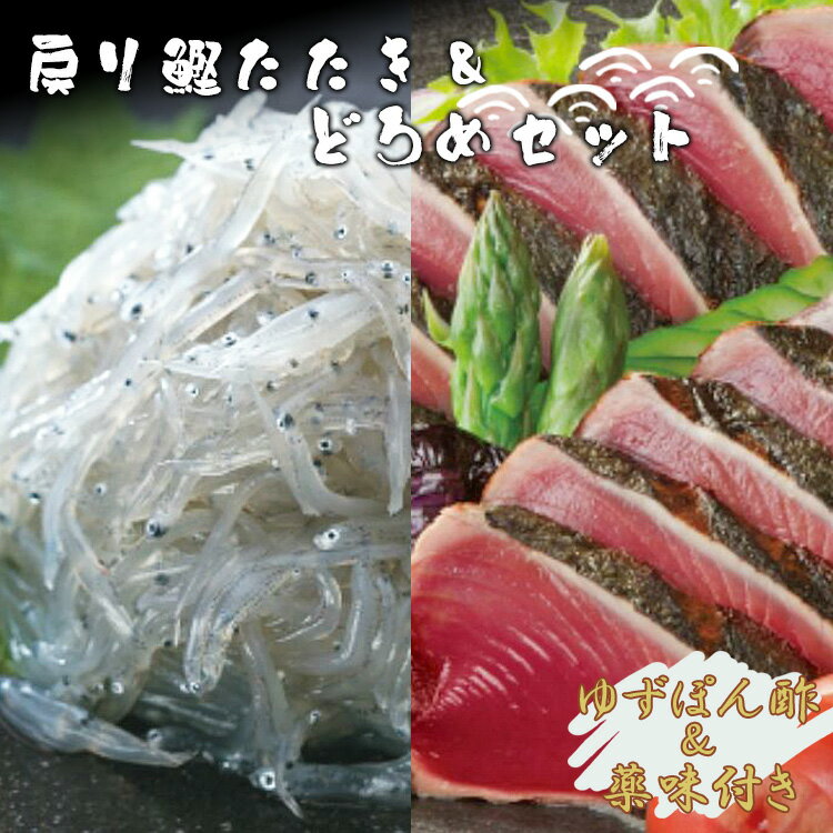 楽天高知県香南市【ふるさと納税】土佐料理司 戻り鰹たたき・どろめセット - 送料無料 魚 さかな カツオ かつお おかず 晩酌 のお供 おさけ お酒に合う おつまみ タタキ いわし イワシ 小魚 稚魚 ポン酢 ぽん酢 食べきりサイズ 高知県 香南市【冷凍】tr-0008