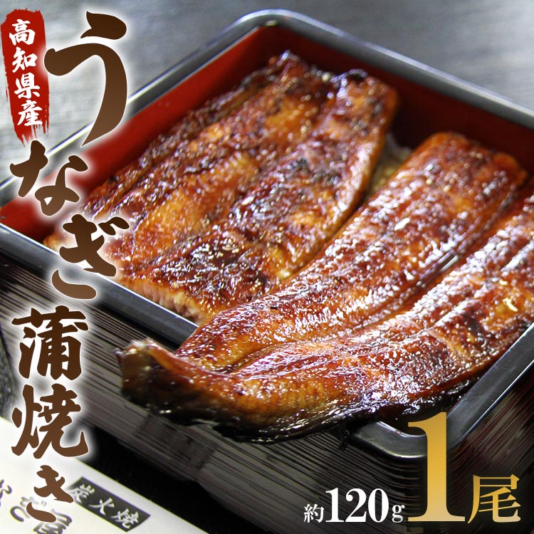 3位! 口コミ数「4件」評価「4」高知県産うなぎ蒲焼き 1尾(約120g)（無頭）- 送料無料 鰻 ウナギ スタミナ 晩ご飯 おつまみ 丼ぶり 魚 ギフト お中元 御中元 父･･･ 