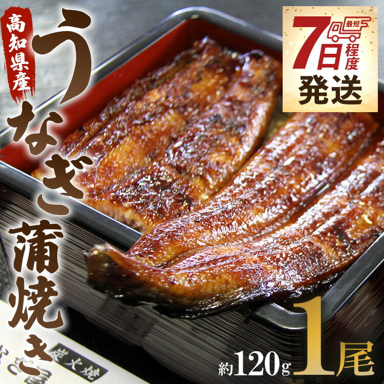 【ふるさと納税】【7日程度で発送】高知県産うなぎ蒲焼き 1尾 約120g（無頭）- スピード発送 鰻 ウナギ スタミナ 晩ご飯 おつまみ 丼ぶ..