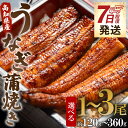 【ふるさと納税】【7日程度で発送】高知県産うなぎ蒲焼き(選べる内容量:計約120g〜約360g 1尾〜3尾)(無頭)- スピード発送 鰻 ウナギ スタミナ 晩ご...