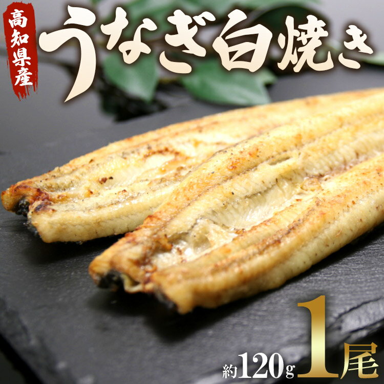 高知県産うなぎ白焼き 1尾(約120g)(無頭) - 送料無料 鰻 ウナギ 魚介 山椒塩 惣菜 おかず のし ギフト 贈答 贈り物 プレゼント 丑の日 国産 うなぎ屋きた本 高知県 香南市[冷凍]un-0008