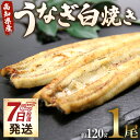 【ふるさと納税】【7日程度で発送】高知県産うなぎ白焼き 1尾(約120g)(無頭) - スピード発送 鰻 ウナギ 魚介 山椒塩 惣菜 おかず のし ギフト お礼...