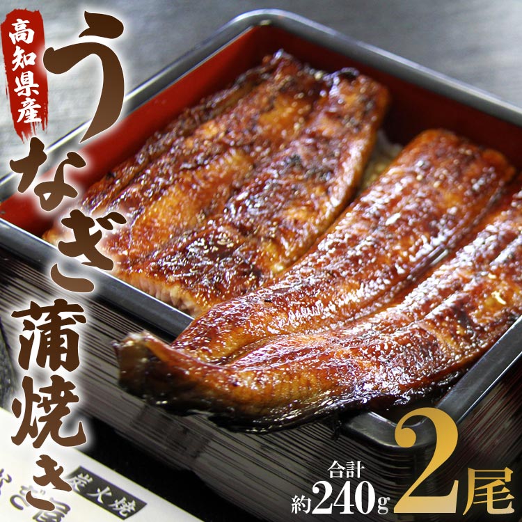 28位! 口コミ数「0件」評価「0」高知県産うなぎ蒲焼き 2尾(合計約240g) （無頭）- 送料無料 鰻 ウナギ 晩御飯 おかず おつまみ アテ スタミナ プレゼント ギフト･･･ 