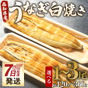 【ふるさと納税】【7日程度で発送】高知県産うなぎ白焼き (選べる内容量:計約120g〜約360g 1尾〜3尾)(無頭) - スピード発送 送料無料 鰻 ウナギ ...