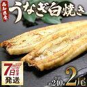 【ふるさと納税】【7日程度で発送】高知県産うなぎ白焼き 2尾(合計約240g)(無頭) - スピード発送 送料無料 鰻 ウナギ 魚介 惣菜 おかず 山椒塩 ギフ...