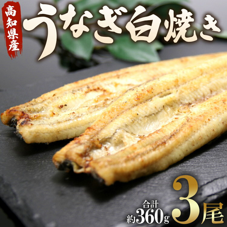 高知県産うなぎ白焼き 3尾(合計約360g)(無頭) - 送料無料 鰻 ウナギ 魚介 惣菜 おかず 山椒塩 のし ギフト 母の日 父の日 お礼 御礼 感謝 贈答 贈り物 プレゼント 丑の日 うなぎ屋きた本 高知県 香南市[冷凍]un-0012