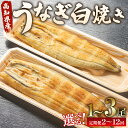 【ふるさと納税】【選べる】うなぎ白焼き120g (無頭) (内容量:1尾/2尾/3尾)(定期便:2回/3回/6回/12回)- 鰻 ウナギ 魚介 惣菜 おかず 山...