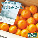 【ふるさと納税】(令和6年発送) 柳本果樹園の山北みかん 約3kg（露地 2S〜Mサイズ）- 果物 フルーツ 柑橘類 温州みかん ミカン 蜜柑 甘い おいしい 送料無料 のし 贈り物 冬 期間限定 季節限定 数量限定 2024年出荷 高知県 香南市【常温】yg-0006