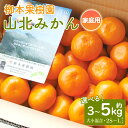 【ふるさと納税】【選べる内容量】【先行予約】山北みかん 家庭用 約3kg/約5kg(大小混合 2S〜Lサイズ)- 果物 フルーツ 柑橘類 温州みかん ミカン 蜜...