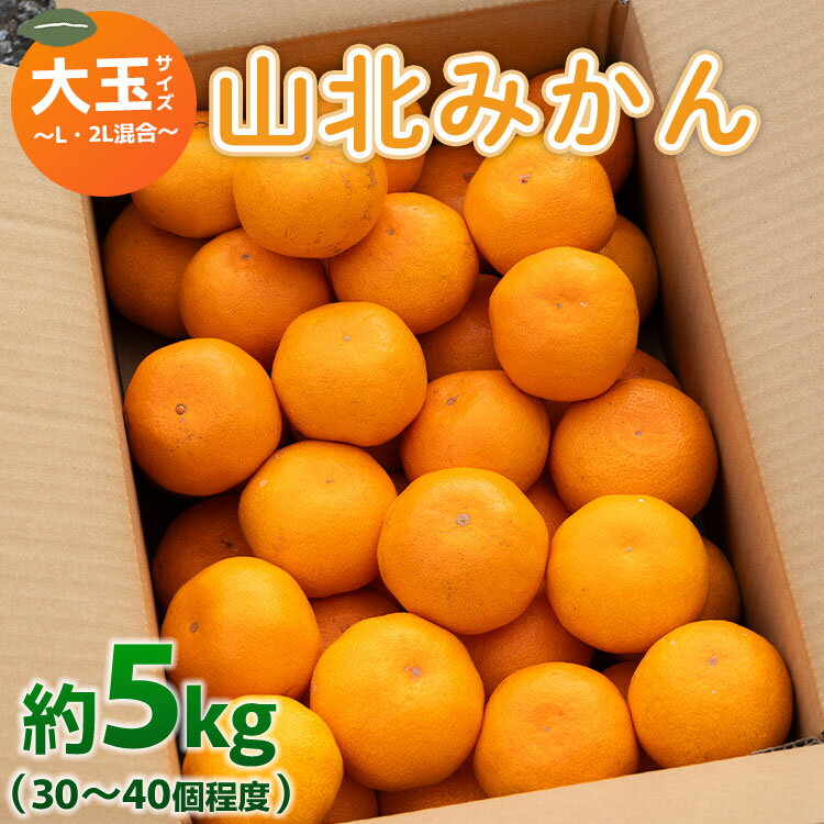 【ふるさと納税】山北みかん 大玉サイズ L・2L混合 約5kg（30～40個程度）- 果物 フルーツ 柑橘類 温州みかん ミカン 蜜柑 甘い おいしい 美味しい 山北みらい 高知県 香南市【常温】 yk-0020･･･