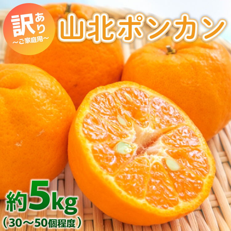 【ふるさと納税】家庭用 山北ポンカン 5kg(約30〜50個程度) - 果物 フルーツ 柑橘類 ぽんかん ミカン 蜜柑 訳アリ わけあり 生産者応援 甘い おいしい 美味しい 山北みらい 高知県 香南市【常温】yk-0051