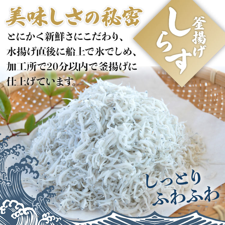 【ふるさと納税】極上釜揚げしらす「銀凪」1Kg産地直送 鮮度抜群 冷蔵配送送料無料 晩酌 おかず ご飯のお供に パスタ B-303