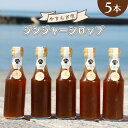 5位! 口コミ数「11件」評価「4.82」やすらぎ市のジンジャーシロップ 200ml×5本 - 赤生姜 ショウガ あか しょうが のし 贈り物 おくりもの おすそ分け 特産品 送料無･･･ 